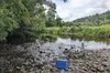 Fishing for DNA – how a cup of river water can reveal secrets about human health, pollution and biodiversity