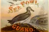 Bird droppings were a foundation of modern agriculture and American empire