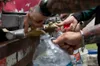 Puerto Rico is rationing water, but many residents stopped trusting the tap long before the drought
