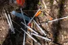 Syringe litter did not increase after a needle exchange ban was overturned in Pueblo, Colorado, but health services suffered
