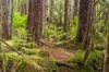 Why Trump’s plan to rescind the Roadless Rule protecting national forests will struggle in court