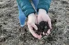 What Wendell Berry meant to Christian farmers going green