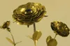 What 1,000 years of golden roses tell us about popes’ authority and influence, from Leo IX to Leo XIV