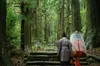 AI is changing pilgrims’ journeys, but sacred journeys have always adapted to new technology