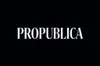 Meet ProPublica’s 2026 Class of Emerging Reporters