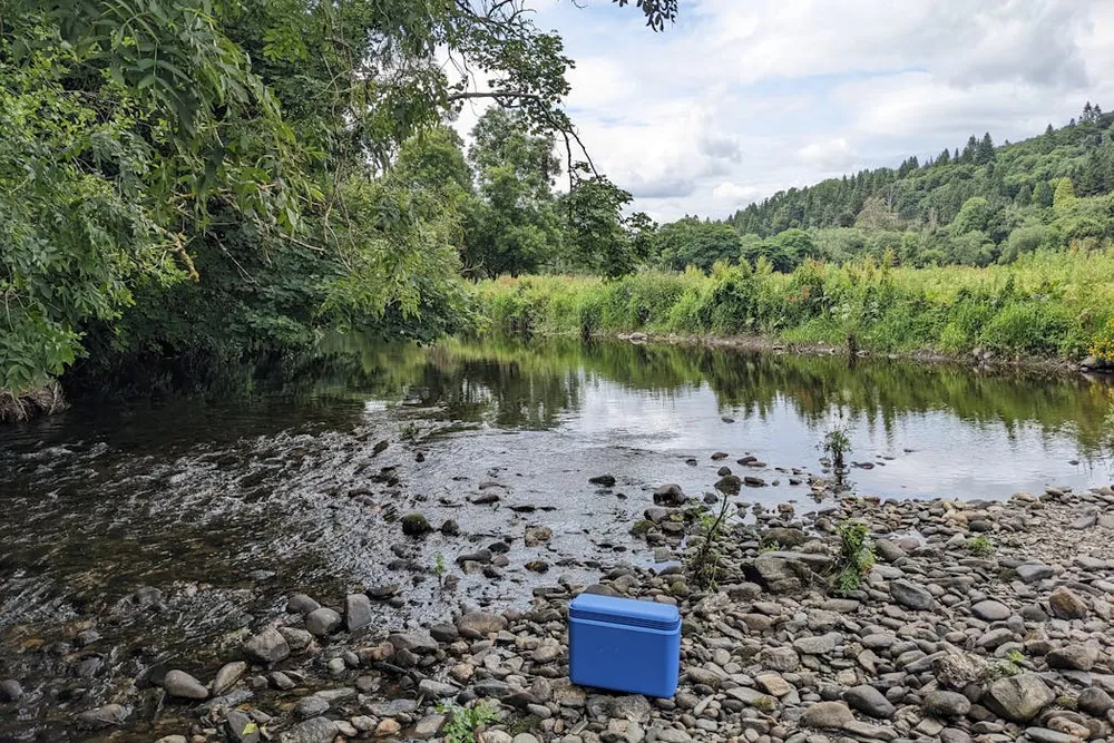 Fishing for DNA – how a cup of river water can reveal secrets about human health, pollution and biodiversity