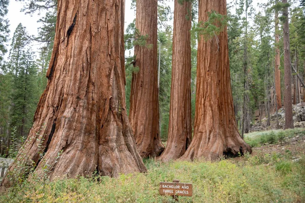 Yosemite, again in corporate crosshairs, embodies the long war over US national park privatization