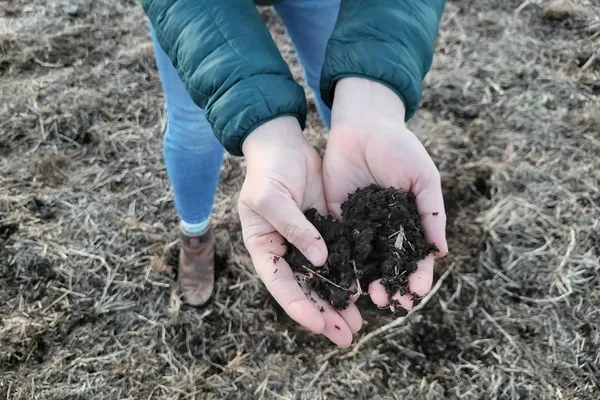 What Wendell Berry meant to Christian farmers going green